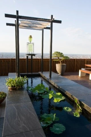 buddha-garden